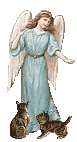angel cat