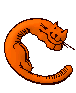 C Cat